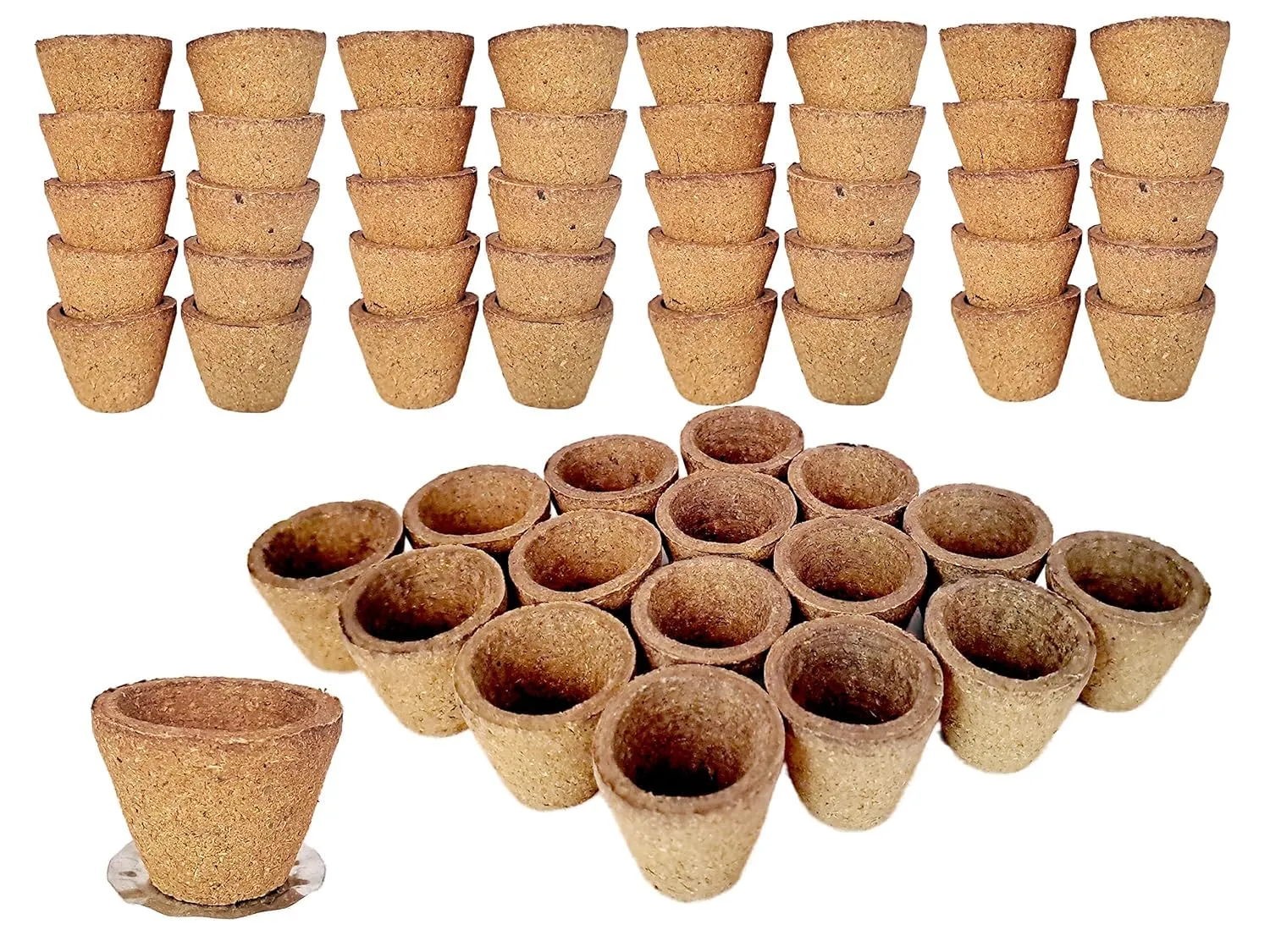 Maa Gauri Empty Sambrani Cup | 100% Natural Sambrani Dhoop with Herbs | Organic and Natural Hand-Made Mini Cups (Pack of 1, 50Pcs)