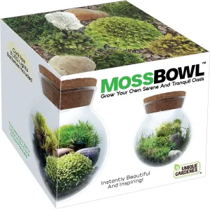 Moss Bowl Grow Your Own Oasis